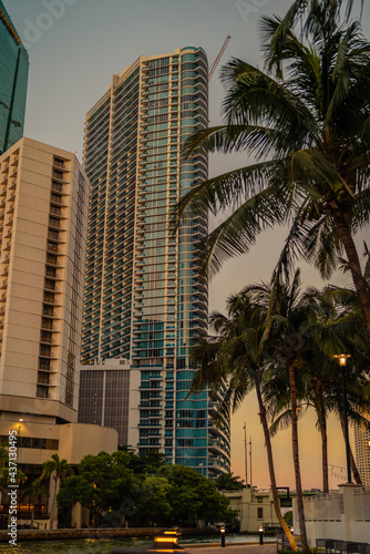 country marina at sunset Miami Florida usa hotel buildings palms tropical urban  © Alberto GV PHOTOGRAP