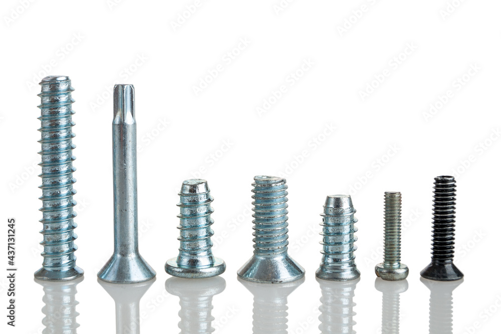 Various shapes sizes and structures bolts and screws, self tapping screws, for mounting in production and repair, isolated on a white background, close-up Various shapes sizes and structures bolts and screws, self tapping screws, for mounting in production and repair, isolated on a white background, close-up