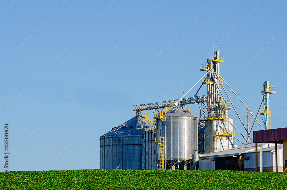 grain storage silos grain storage silos