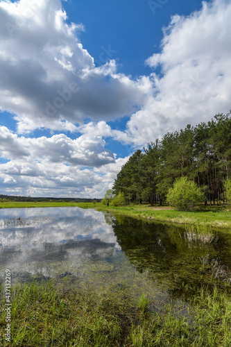 Spring scenery with trees  blue serene sky with clouds reflected in the water surface of a pond