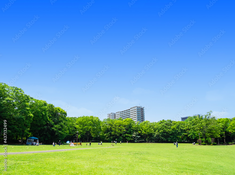 青空と緑の公園広場