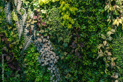 Various green leaves seamless texture for natural background