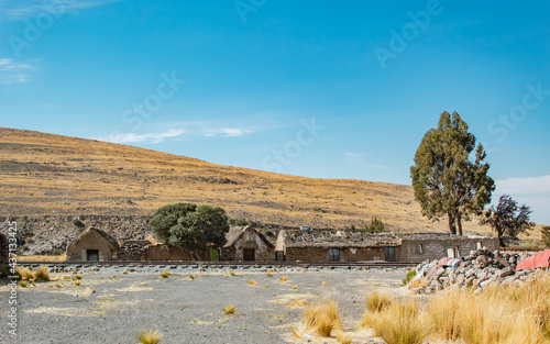 landscape with cactus and mountains