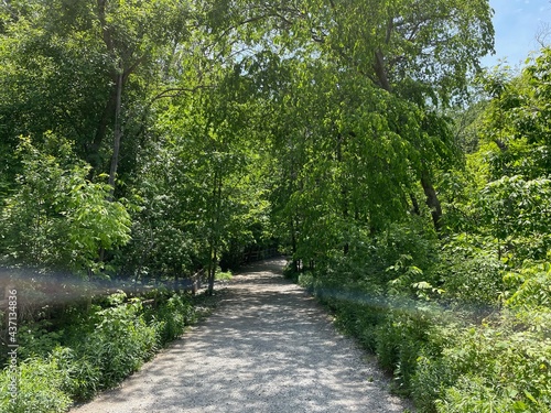 path in the park