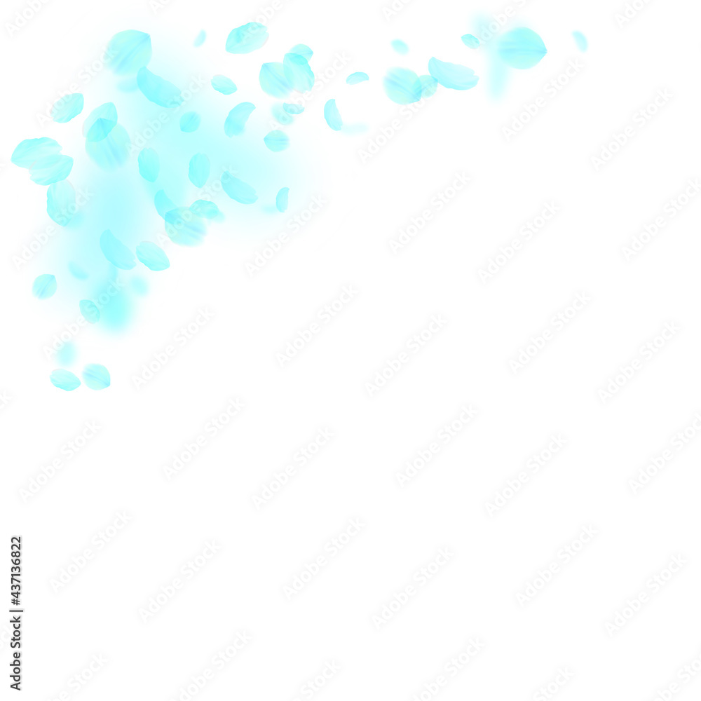 Turquoise flower petals falling down. Optimal roma Turquoise flower petals falling down. Optimal roma
