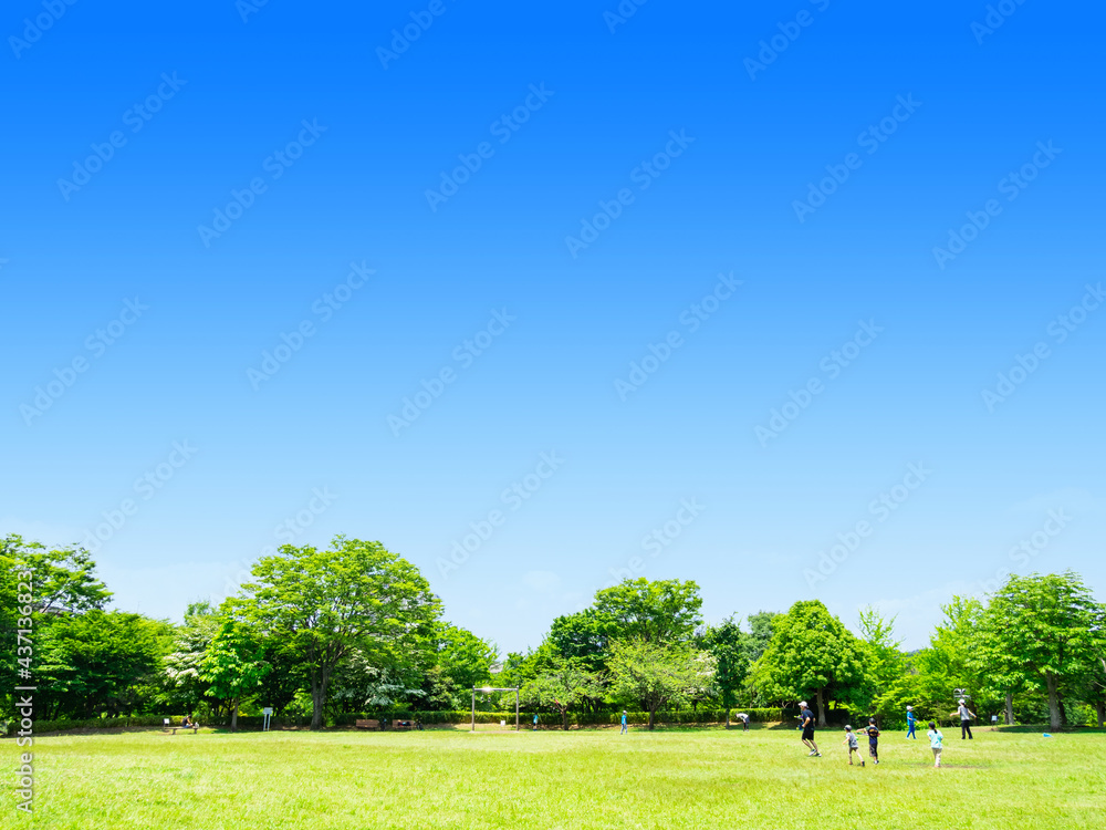 青空と緑の公園