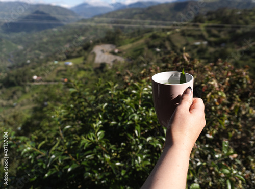A woman hand holding a cup of tea with a beatiful and natural landscape view in the holiday