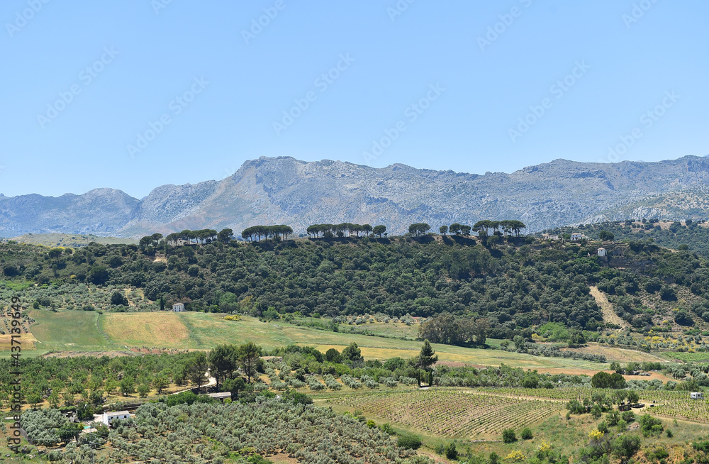 paisaje en andalucia