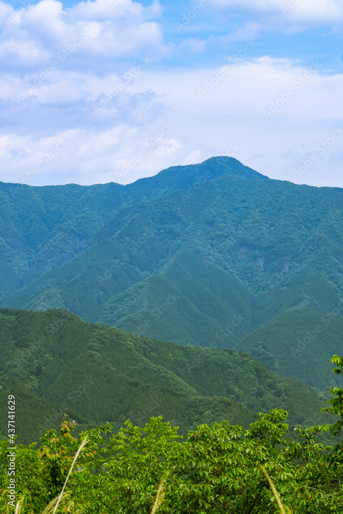 Fototapeta premium 新緑の山 風景