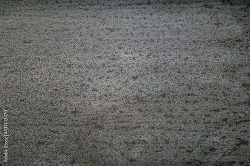 Abstract texture and old rusted galvanized iron sheet. use for background