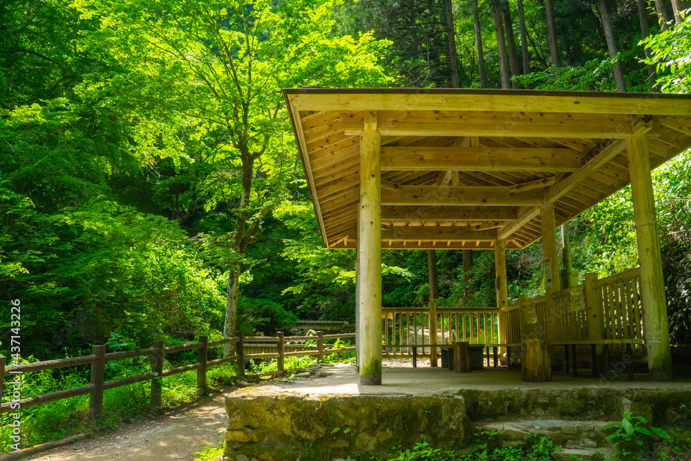 初夏　払沢の滝　休憩所
