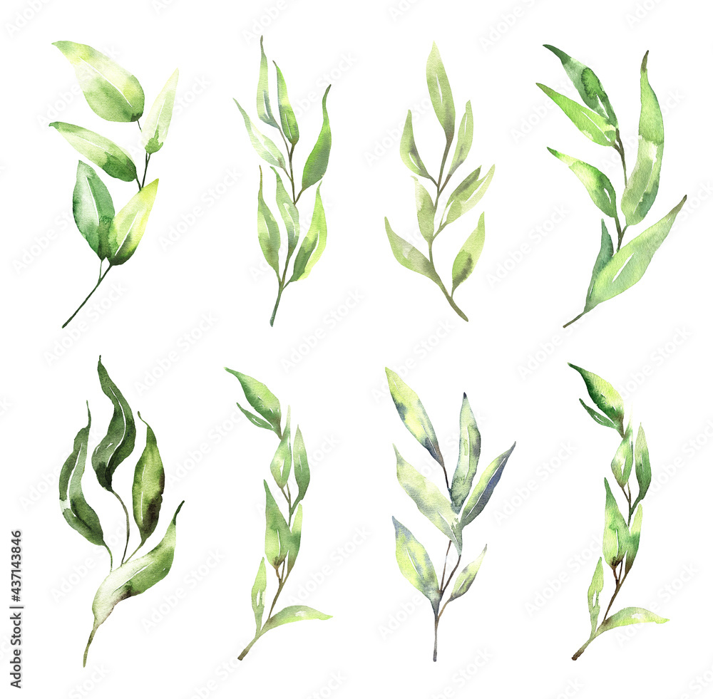 Fototapeta premium Watercolor floral illustration set - green eucalyptus leaf branches collection, for wedding invitation, greetings cards, wallpapers, background. Eucalyptus, green leaves. High quality illustration
