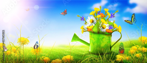 Colorful wild flower bouquet in a watering can with butterflies.