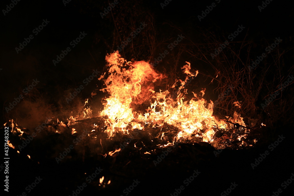 Fire flames burning dry grass on dark background.