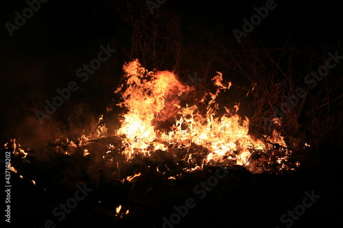 Fire flames burning dry grass on dark background.