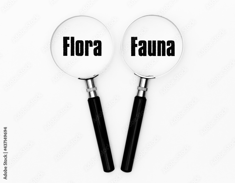 Flora und Fauna