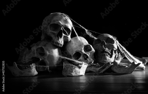 Old skulls put on pile of bone on dark ground and black background in morgue and cobweb,
