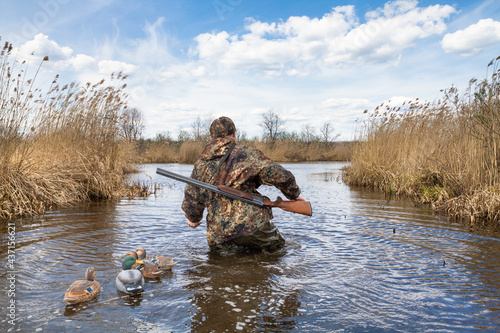 Fotografia waterfowler walks on lake with plastic duck decoys