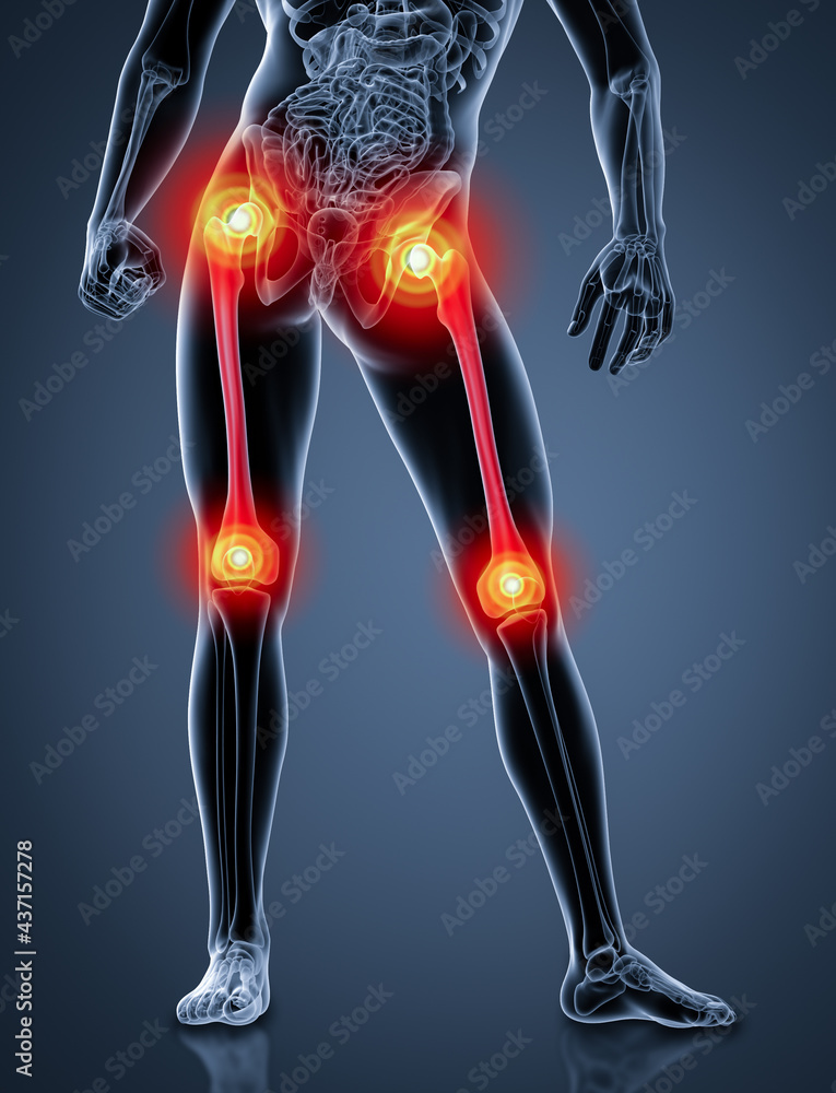3d rendered illustration of femur bone - front view 3d rendered illustration of femur bone - front view
