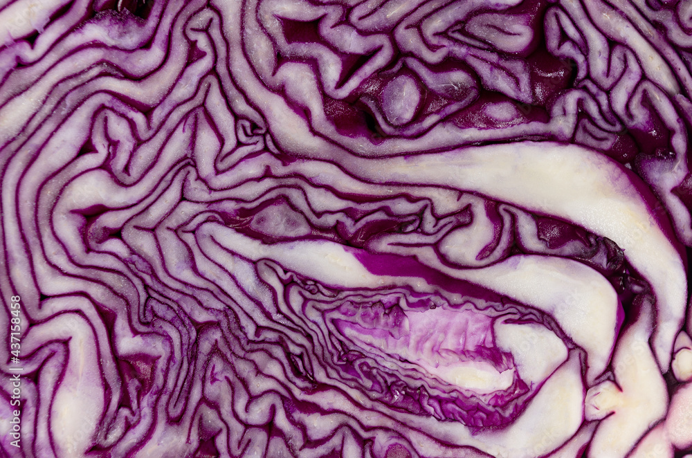 Obraz premium Purple cabbage texture closeup, flat lay. Cut of head cabbage. Summer food background.