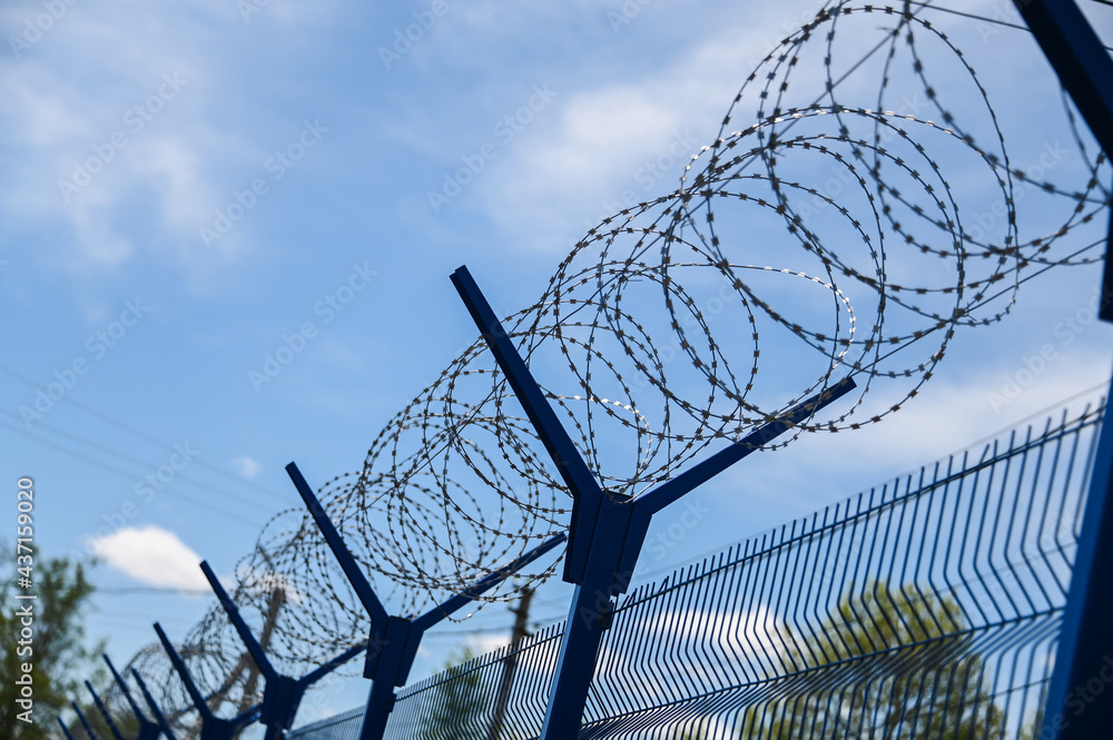 Barbed wire with round branches hangs on an iron fence with blue supports against a blue sky. Barbed wire with round branches hangs on an iron fence with blue supports against a blue sky.