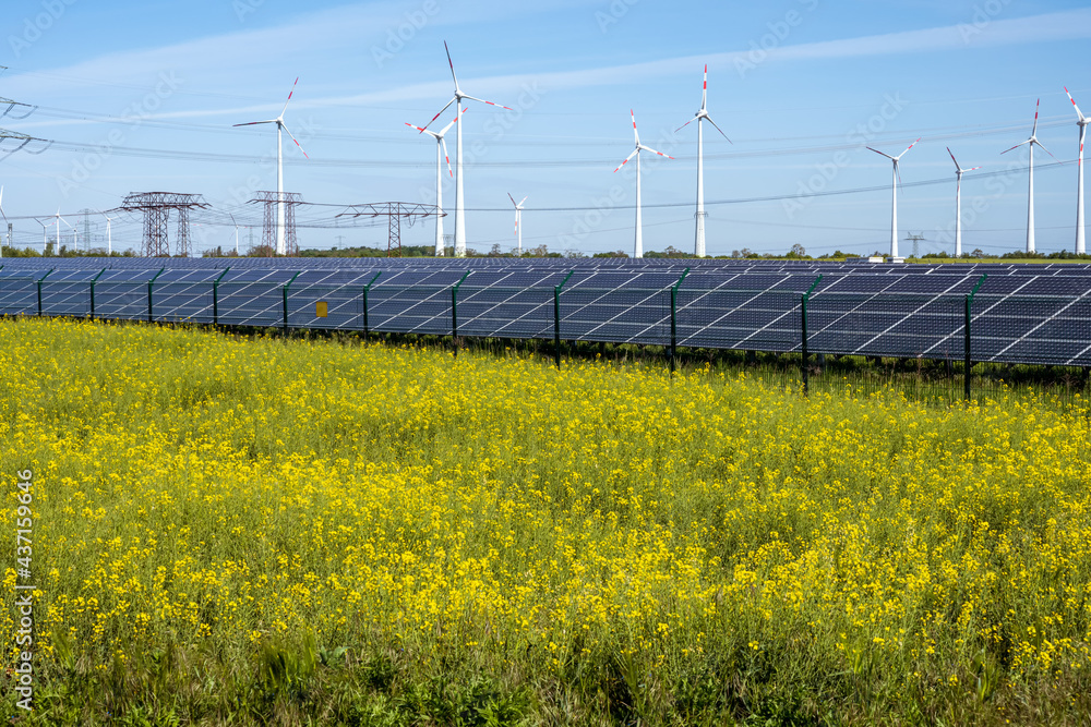 Flowering canola field with alternative energy production seen in Germany