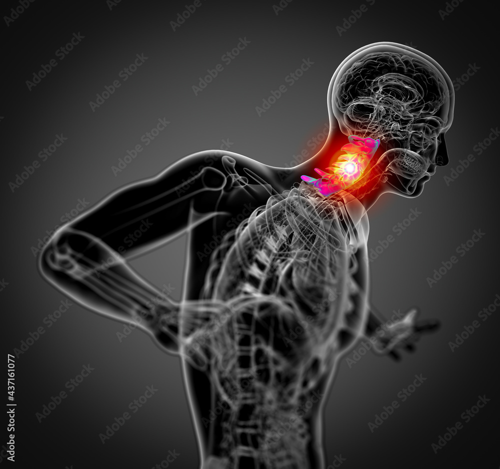 3d render medical illustration of the cervical spine 3d render medical illustration of the cervical spine