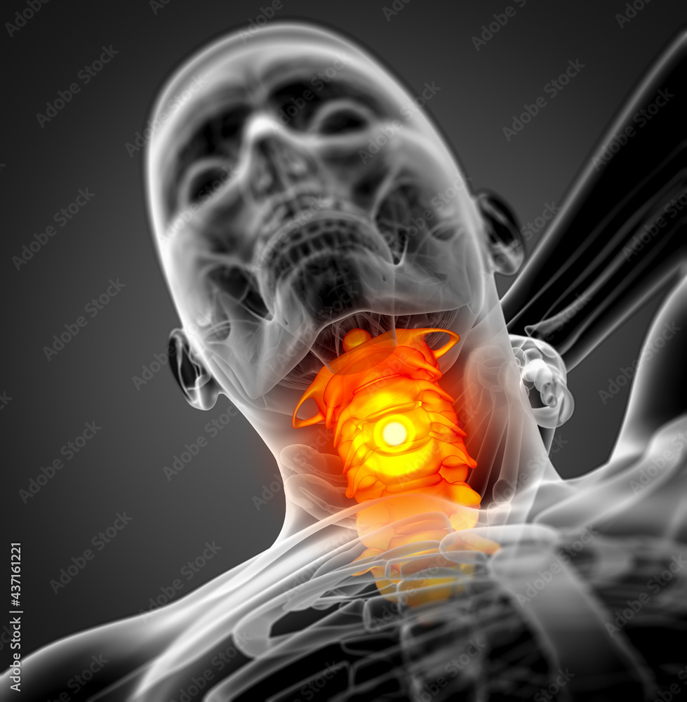 3d render medical illustration of the cervical spine 3d render medical illustration of the cervical spine