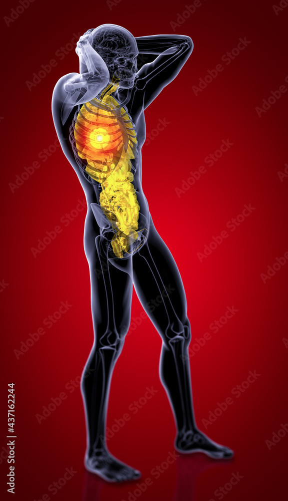 Obraz premium 3d render medical illustration of the human digestive system and respiratory system