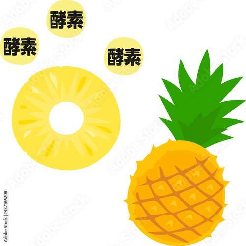 パイナップルの輪切りと酵素のイメージ