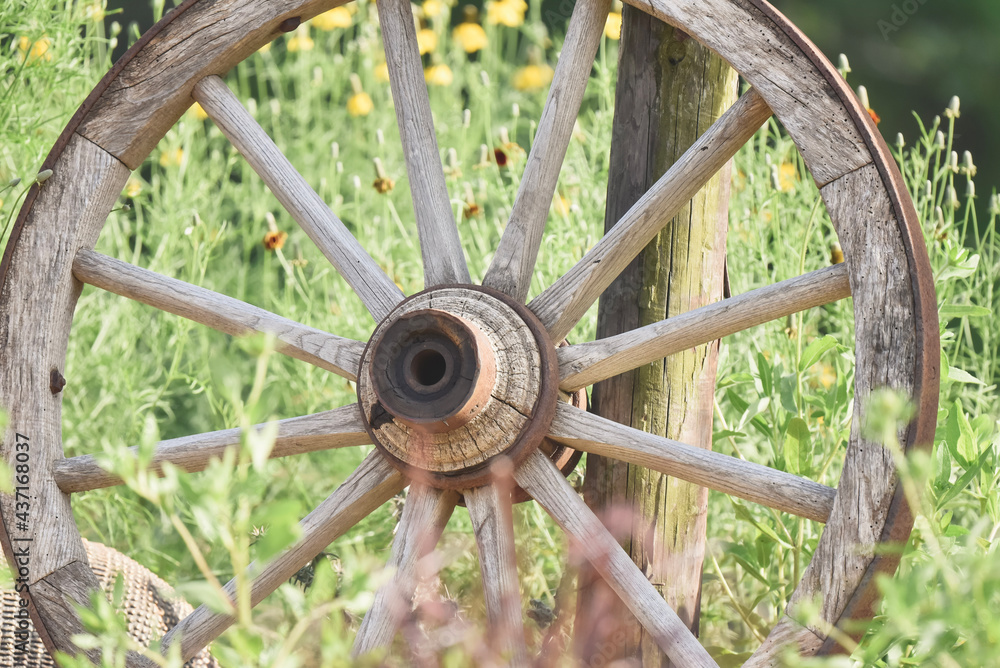 old wagon wheel