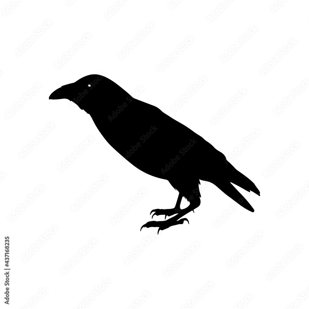 Obraz premium vector black silhouette of crow on the white background, silhouette of crows