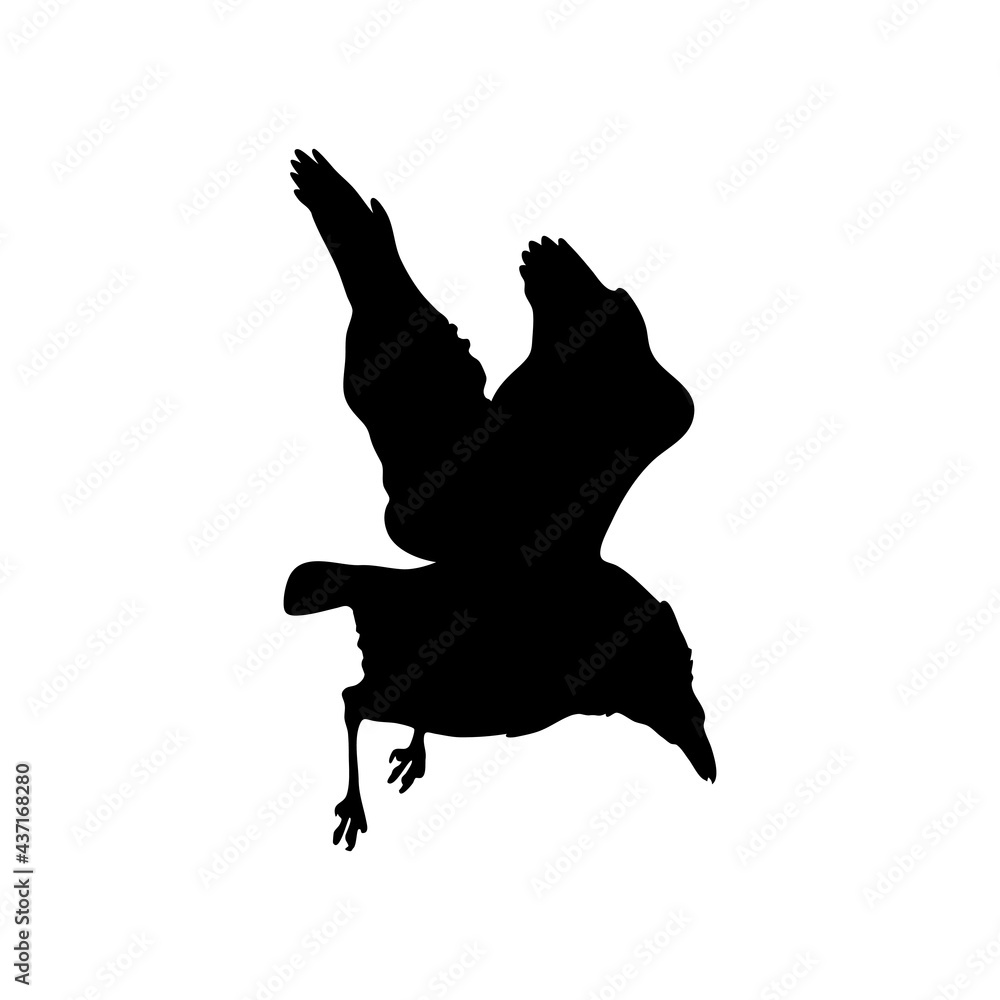vector black silhouette of crow on the white background, silhouette of crows vector black silhouette of crow on the white background, silhouette of crows