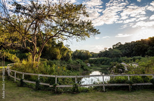 paisagem de um parque natural incluindo arvores, sol, vegetação, lago. Conceito de natureza. © Luciano Ribeiro