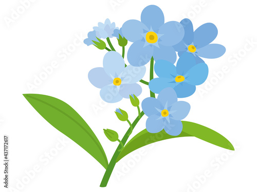 青色の勿忘草の花
