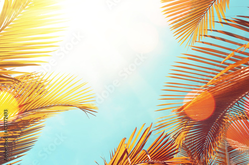 Fototapeta Naklejka Na Ścianę i Meble -  Tropical palm tree with sun light on sunset sky and cloud abstract background.