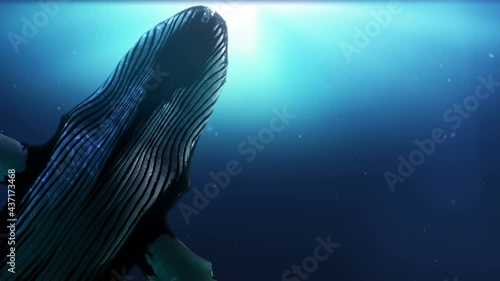 Humpback whale is swimming through camera. Close up shot of A Big Humpback whale is swimming beneath the surface of the water with sunlight rays. Scene with fish concept. 3D Render. photo