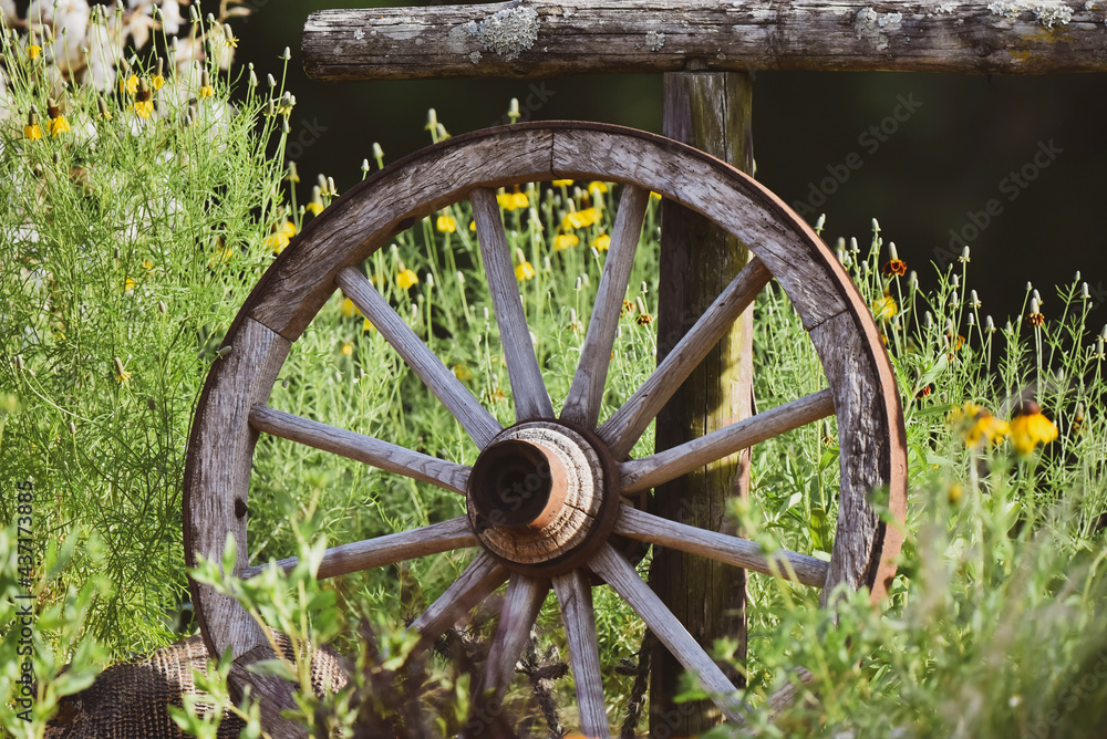 old wagon wheel