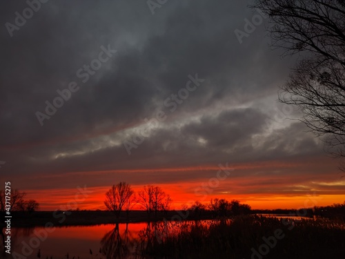 sunset in the forest