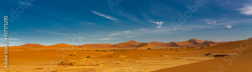 Panorama landscape with large beautiful sand dunes at Sossusvlei