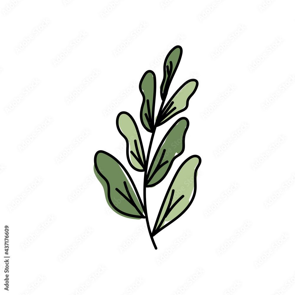 Vector illustration of leaves with outline. Hand drawn leaf logo symbol.