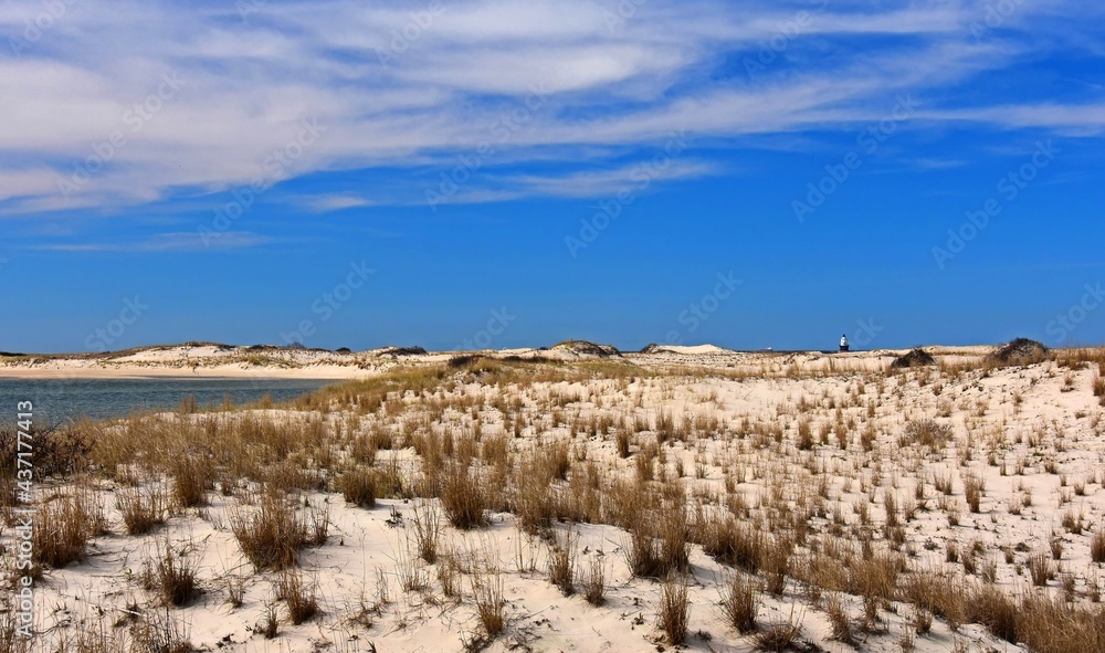 Sand dunes, sea grasses, coastline  and the harbor of refuge light on a sunny day at cape henlopen state park near rehoboth beach, delaware