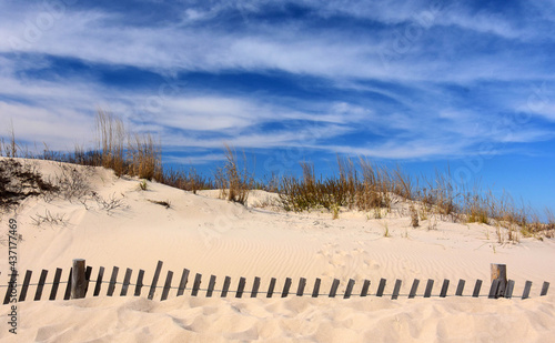 drifting sand dunes covering a wooden fence on a sunny day at cape henlopen state park near rehoboth beach, delaware photo