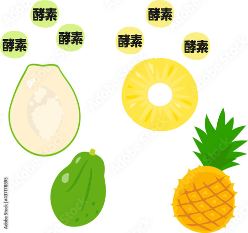 パパイヤ、パイナップルと酵素のイメージ