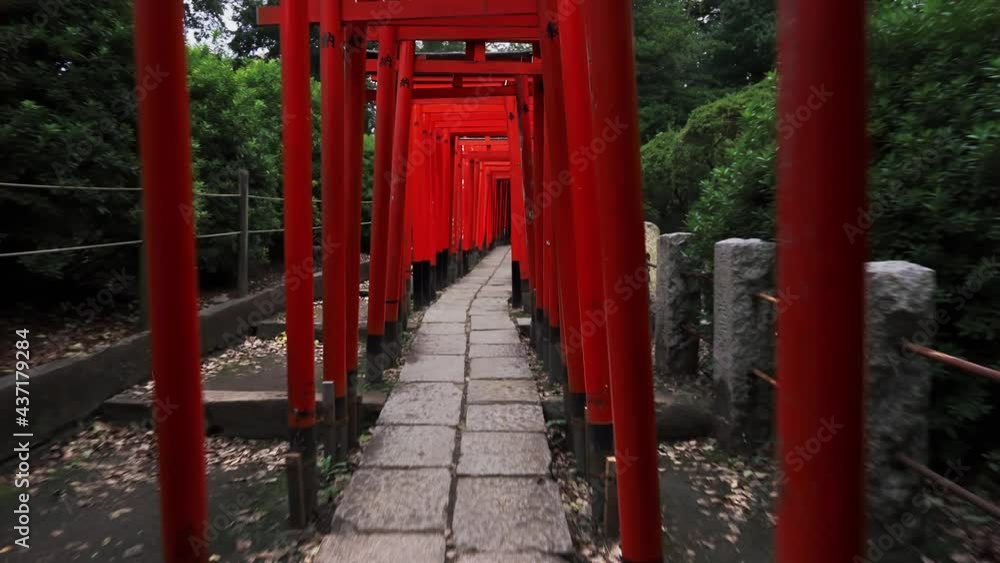 Dolly of torii at Nezu shrine shrine in Tokyo. Bunkyo-ku Tokyo Japan Dolly of torii at Nezu shrine shrine in Tokyo. Bunkyo-ku Tokyo Japan