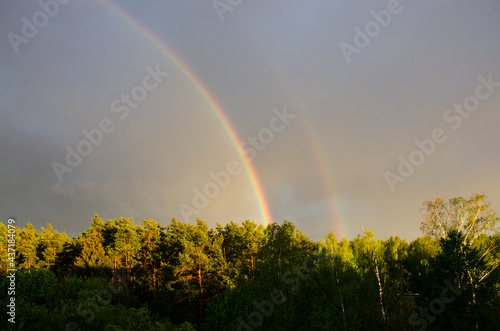 colorful double rainbow over the forest on the background of thunderclouds