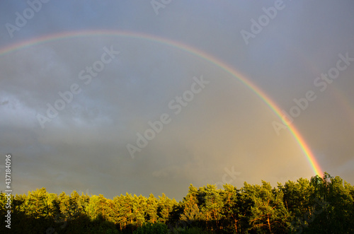 colorful double rainbow over the forest on the background of thunderclouds