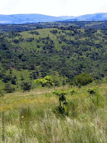 South African Hills, KwaZulu-Natal  photo