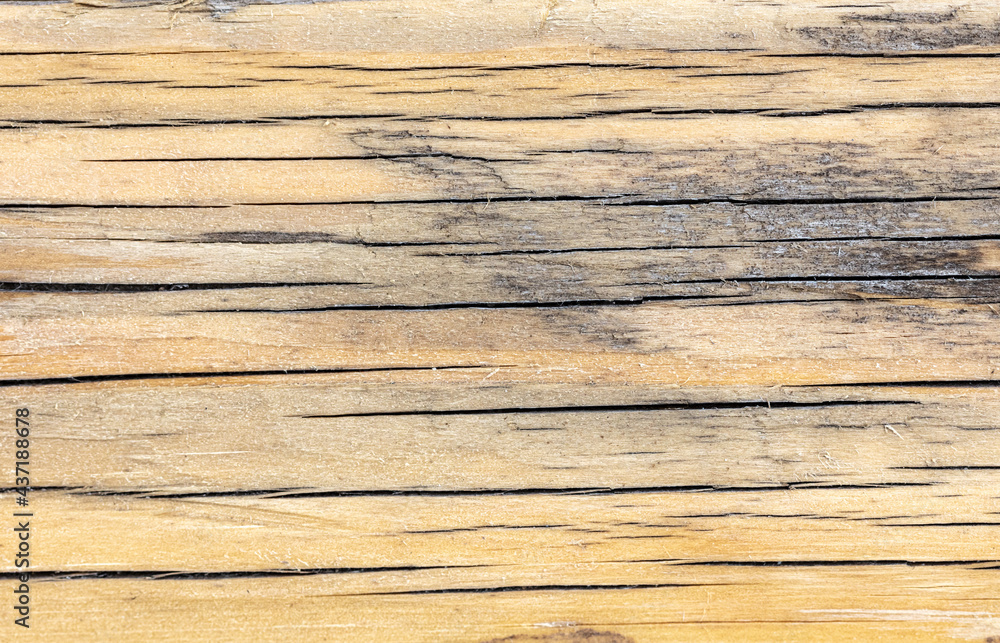 Old wooden board as an abstract background. Old wooden board as an abstract background.