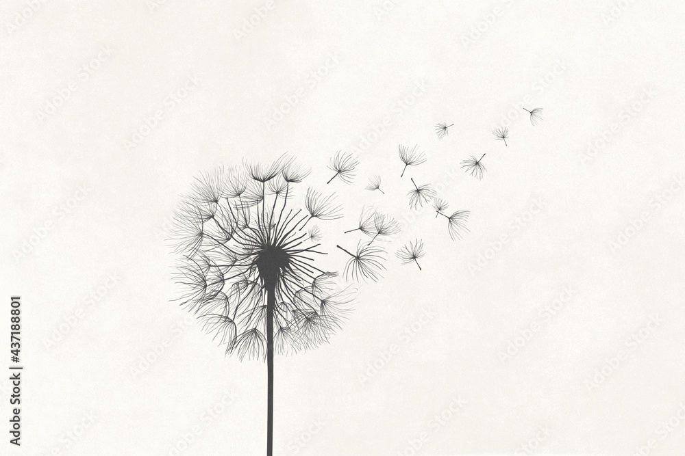 Illustration of dandelion vanishing in the air with the wind, surreal concept symbol - obrazy, fototapety, plakaty 